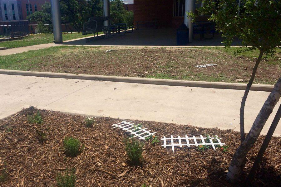 Vandals damaged fencing materials around the new Humans of SV garden on Tuesday.