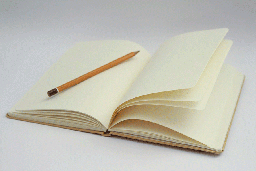 Writers' Guild set to open club next school year