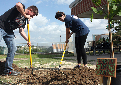 Humans of SV planting a tree near the rotunda