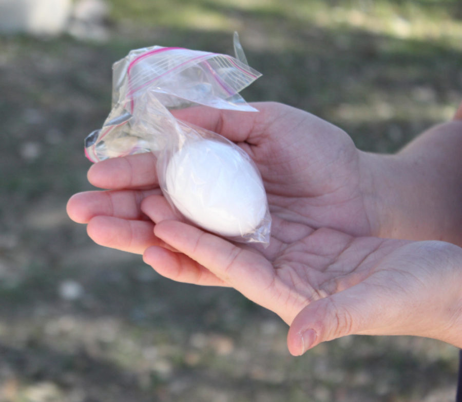 Hannah Hayes's egg after surviving the 15.1 meter drop.