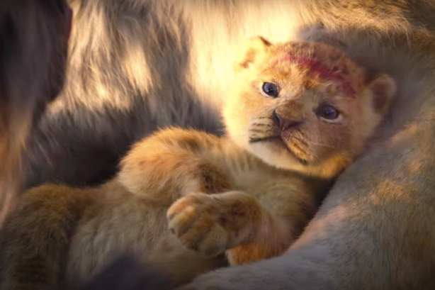 "The Lion King," directed by John Favaru is set to come out on July 19.