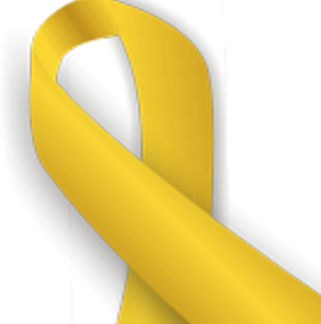 A day for gold in Comal ISD