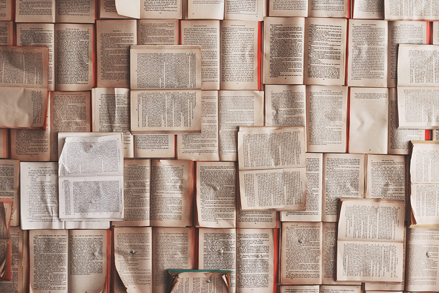 Of all the books in the sea, here are some choices that you will not forget.