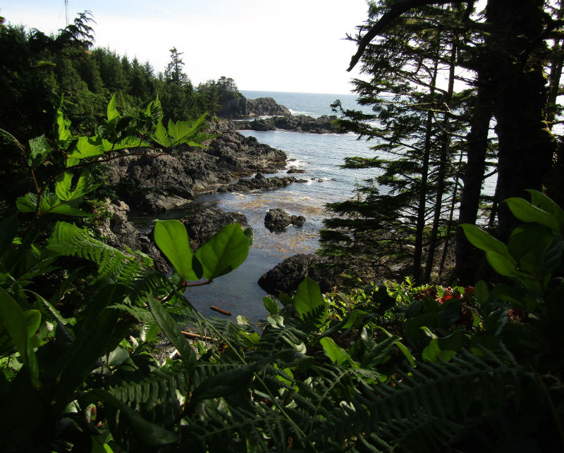 Mathew Ford-Tineo submitted this landscape photo for commercial photography.