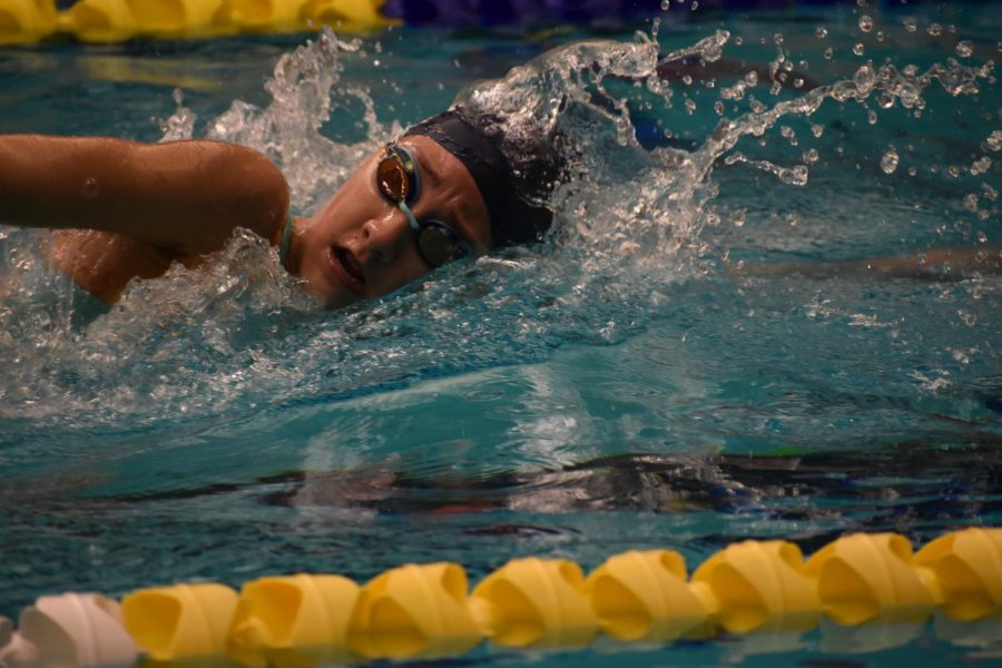 Cara Doyle swims in regional competition.