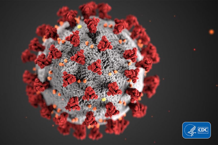 The Coronavirus was named an official pandemic on March 11.
https://www.unomaha.edu/news/coronavirus/index.php