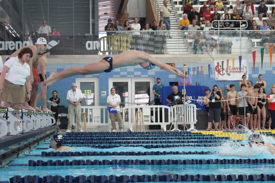 Chris Mickelson dives in during the district meet last year.