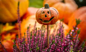 For Fall Fest, anyone's encouraged to join. "In the past, a little over 200 people came, so I'm hoping for the same or more [this time]," coordinator Aubrie Herring said. 