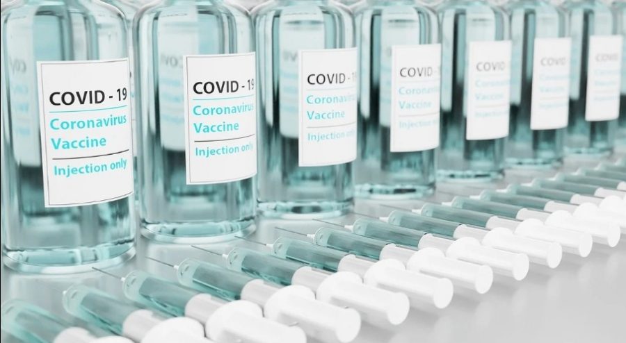 Bexar county has seen an average of 25 new COVID-19 deaths each day within the past week.