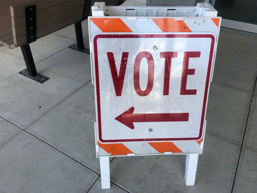 Early voting is available locally at the Mammen Family Public Library in Spring Branch.