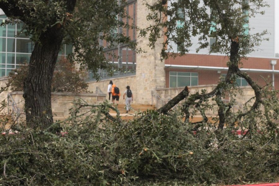 After a week break due to bad weather, students return back to a branch infested campus.