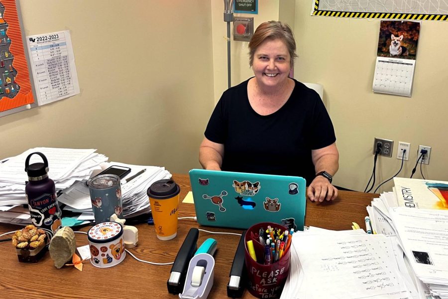 Chemistry and AP Enviornmental Science teacher, Kay Newsome, has a classroom covered in corgis.