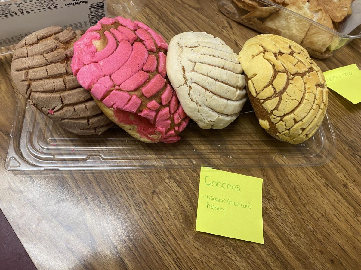 Conchas: Julissa Vargas brought Conchas, a popular type of pan dulces, which is a mexican bread sweet. 
